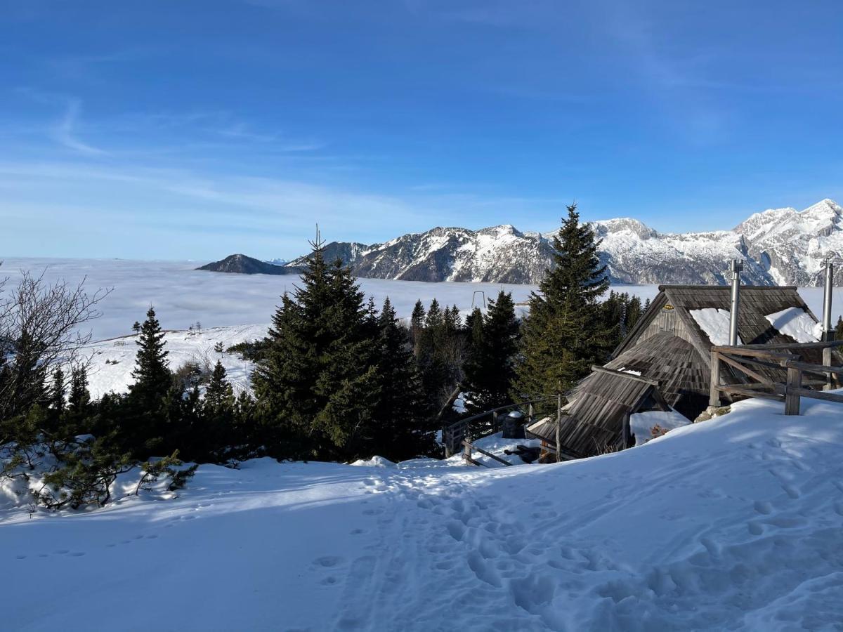 Alpine Chalet Velika Planina - Irenca - I Feel Alps Stahovica Exterior photo